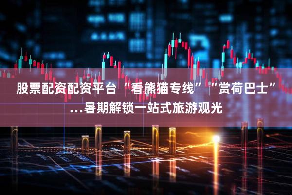 股票配资配资平台 “看熊猫专线” “赏荷巴士”…暑期解锁一站式旅游观光